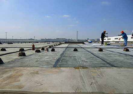 上?；瘜W(xué)建材協(xié)會防水材料及技術(shù)分會成立，公司董...